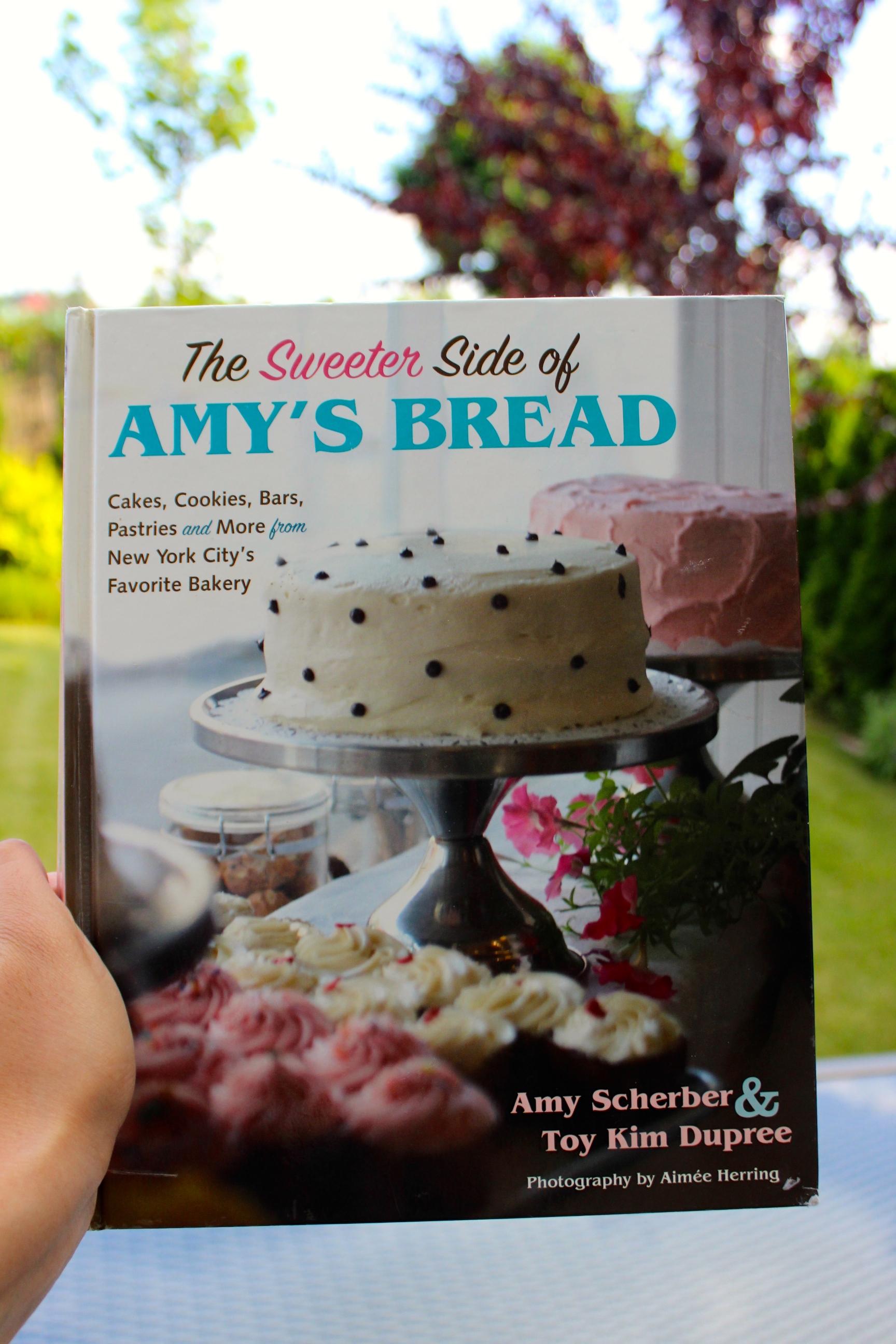 Amys Bread Bakery 